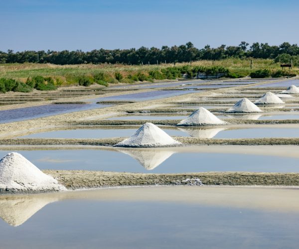 Marais Salants