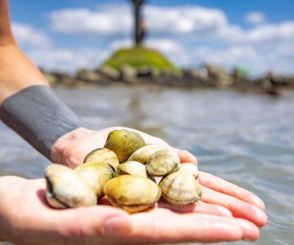 Le Gois à Noirmoutier