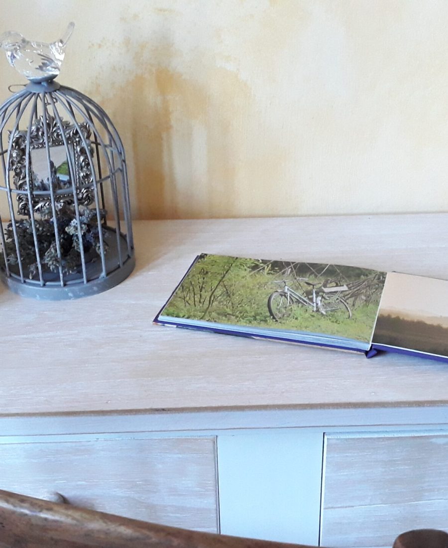 pasquereau-elise-detail-livre-ouvert